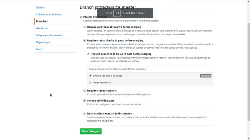 branch-protection-settings.png